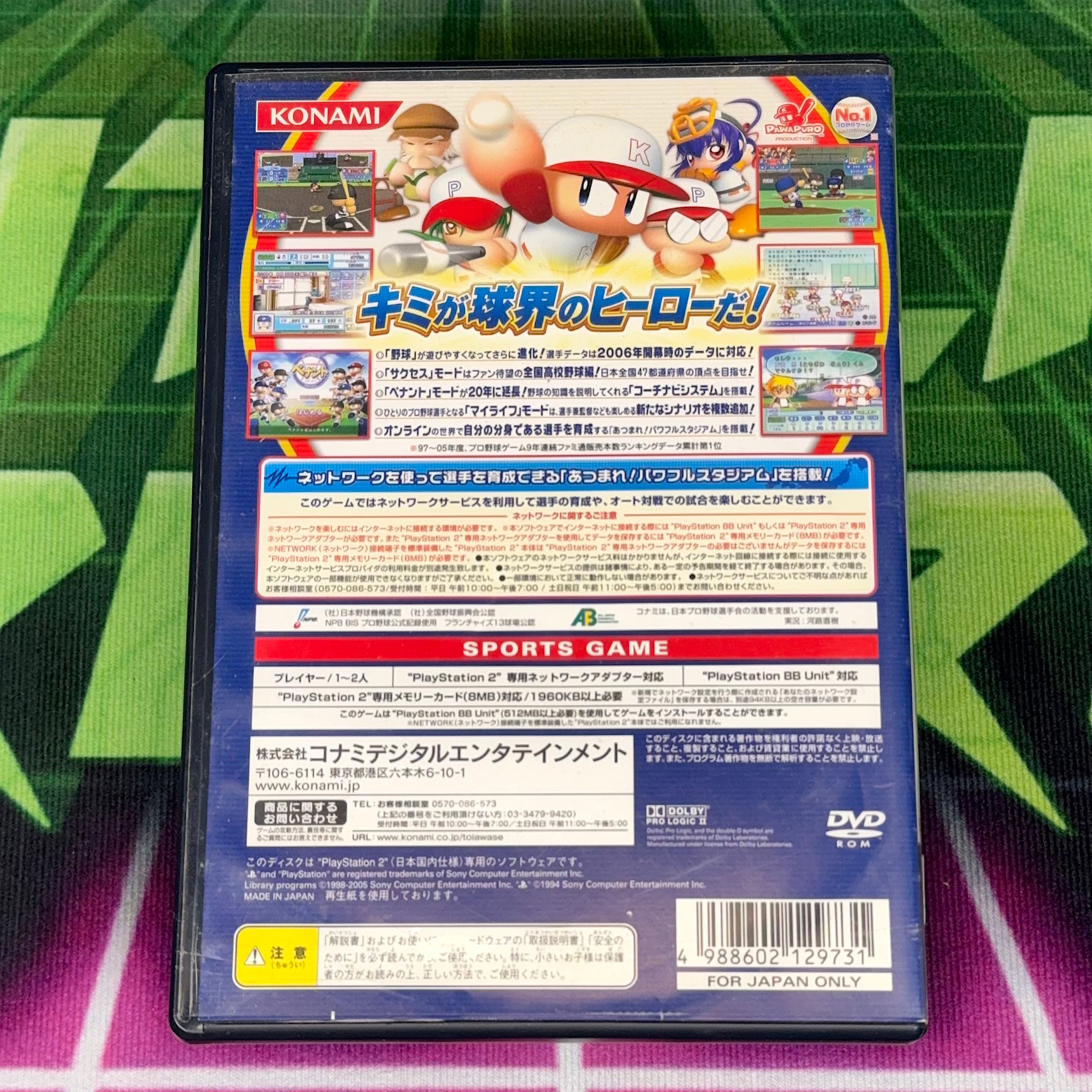 Jikkyou Powerful Pro Yakyuu 13 | JP PS2