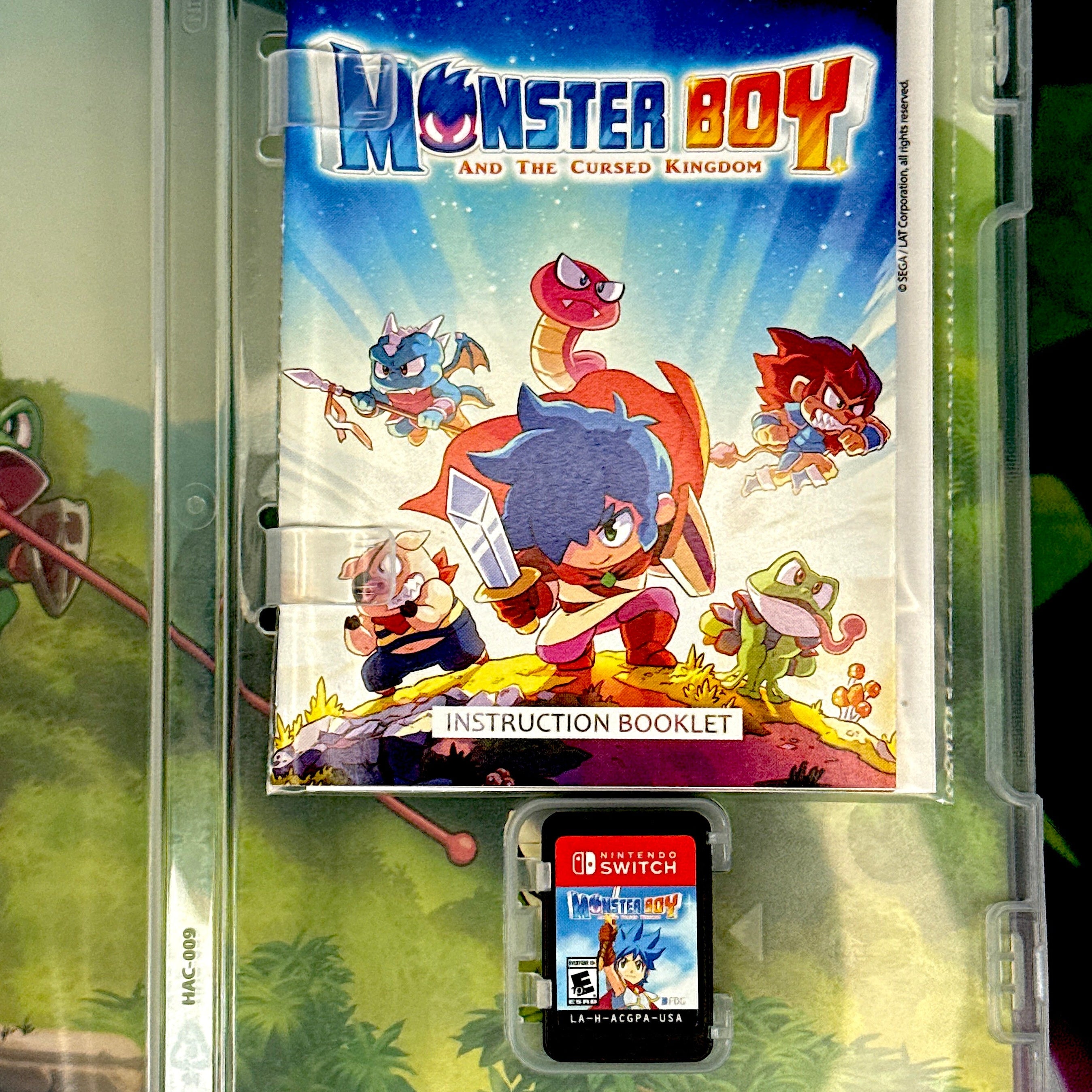 Monster Boy and the Cursed Kingdom | Nintendo Switch