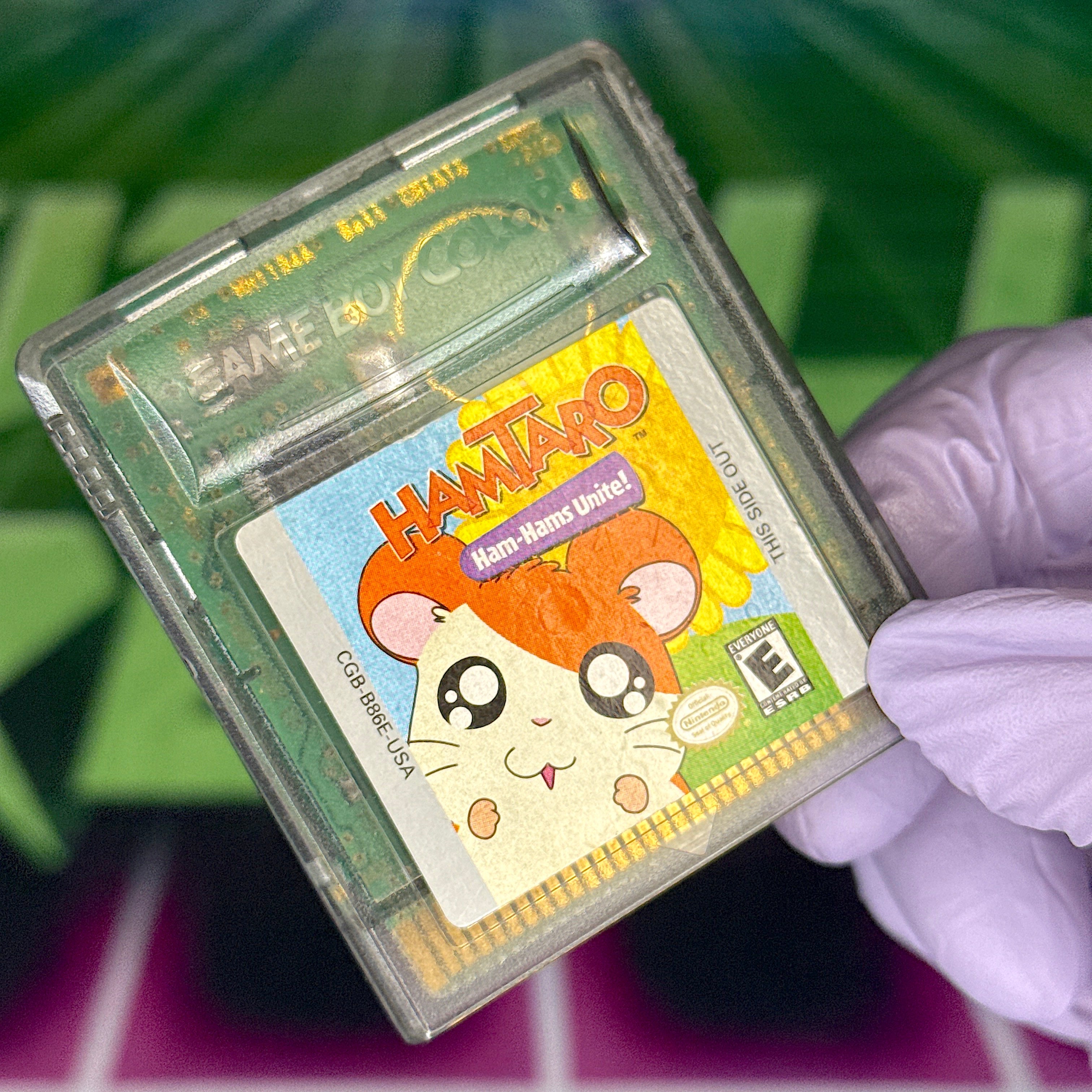 Hamtaro: Ham-Hams Unite! | GameBoy Color
