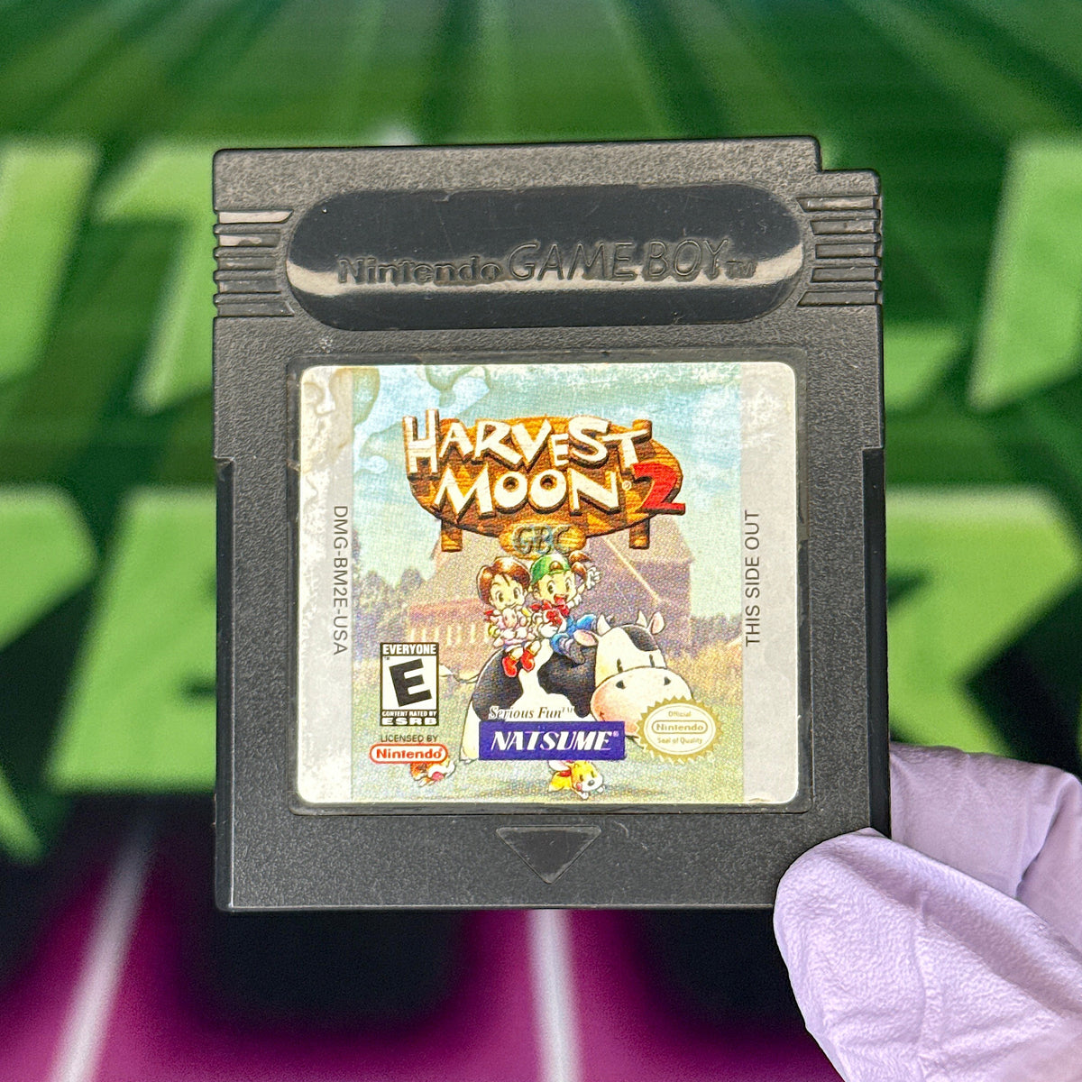 Harvest Moon 2 GBC | GameBoy Color