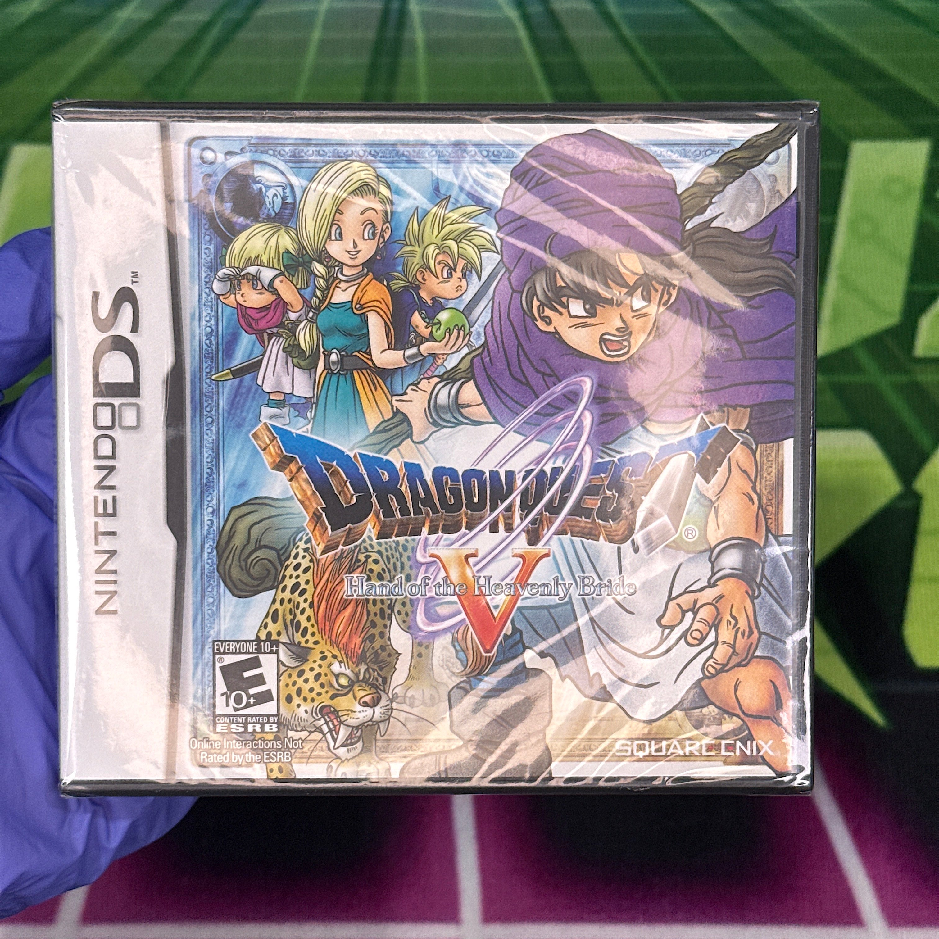 Dragon Quest V: Hand of the Heavenly Bride | Nintendo DS