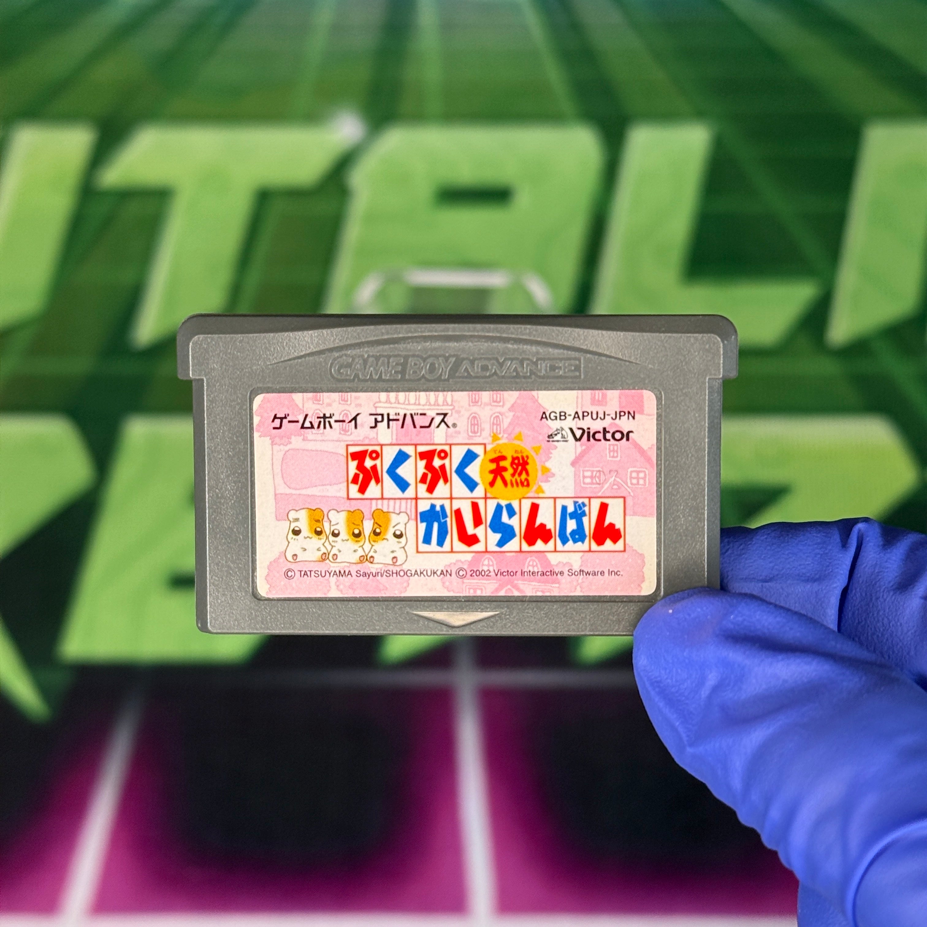 PukuPuku Tennen Kaitenzuiban | JP GameBoy Advance
