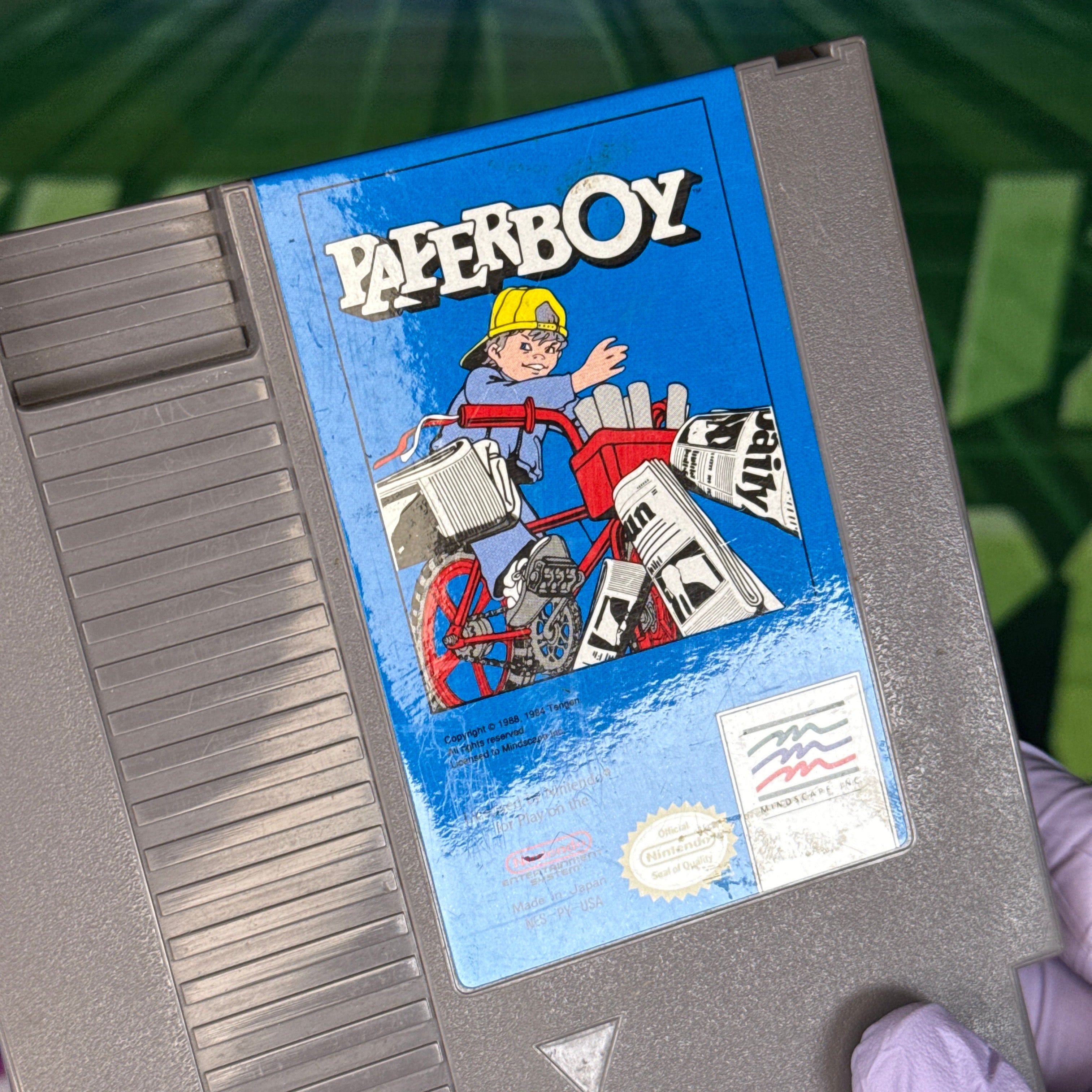Paperboy | NES